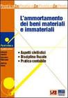 Copertina di L'ammortamento dei beni materiali e immateriali