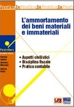 Copertina di L'ammortamento dei beni immateriali e materiali